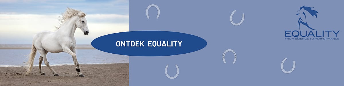 Dier, Paard, Zoogdier, Colt Horse